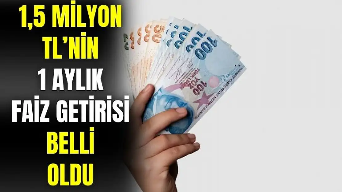 1,5 milyon TL'nin 1 aylık getirisi belli oldu