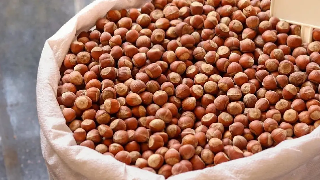 5 Eylül 2025 fındık fiyatları ne kadar?