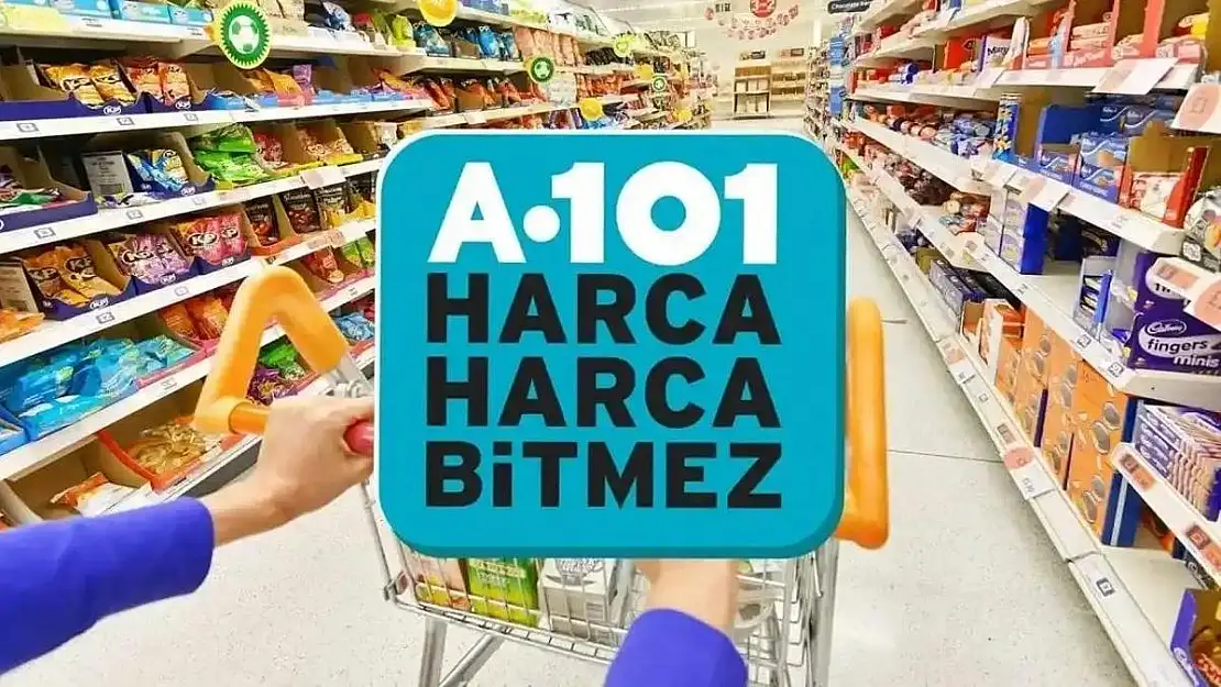 A101 17 Ağustos 2024 aktüel ürünler kataloğu