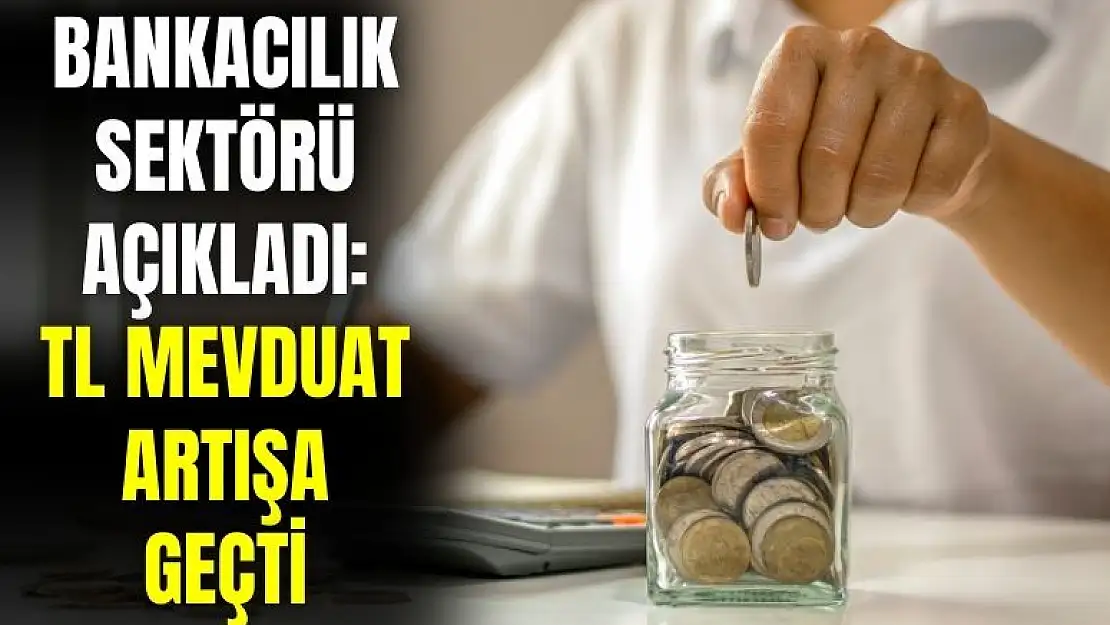 Bankacılık sektöründe haberler pozitif: TL cinsi mevduat artışta
