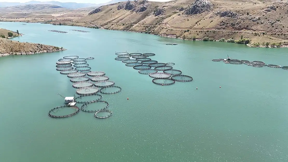 Karadeniz'e rakip doğdu: deniz olmadan balık üretiyorlar