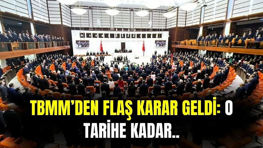 Taşerona kadro, af, infaz düzenlemesi, staj, çıraklık ve kademeli emeklilik ile ilgili TBMM'den karar