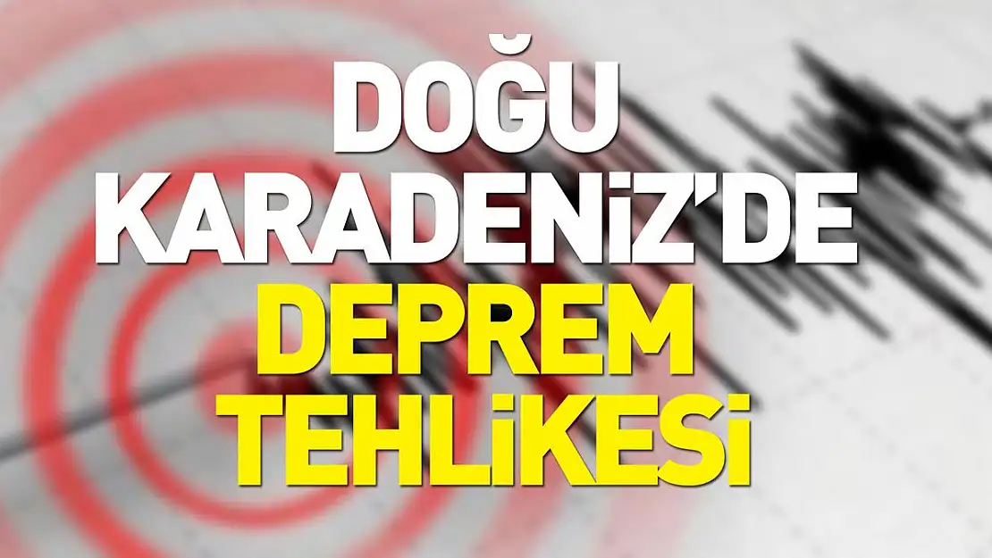 Ünlü profesör Karadeniz'de o illeri deprem için uyardı