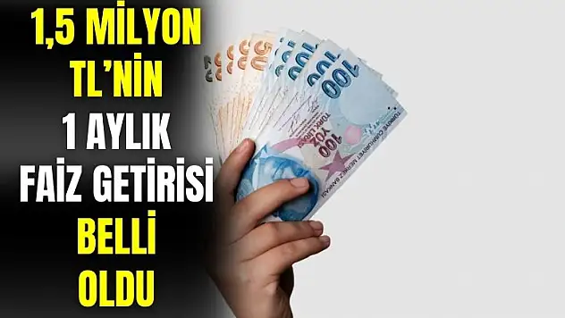 1,5 milyon TL'nin 1 aylık getirisi belli oldu