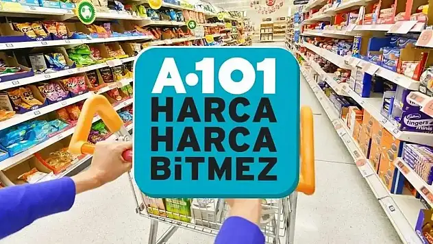 A101 17 Ağustos 2024 aktüel ürünler kataloğu