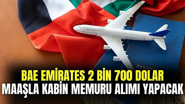 BAE Emirates 2 bin 700 euro maaşla en az lise mezunu kabin memuru alımı yapılacak