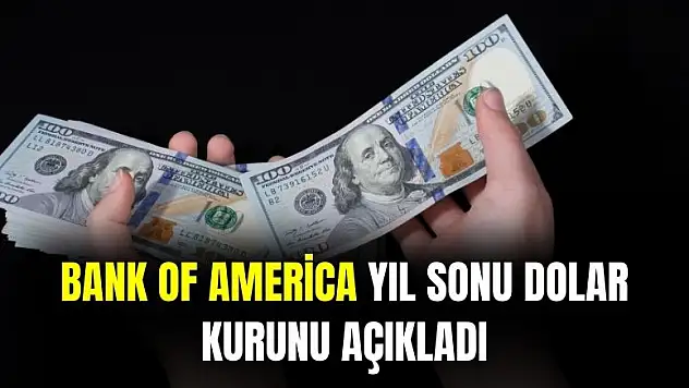 Bank of America yıl sonu dolar kurunu açıkladı