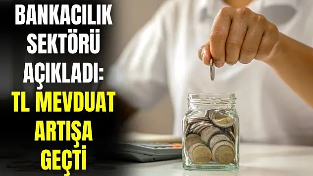 Bankacılık sektöründe haberler pozitif: TL cinsi mevduat artışta