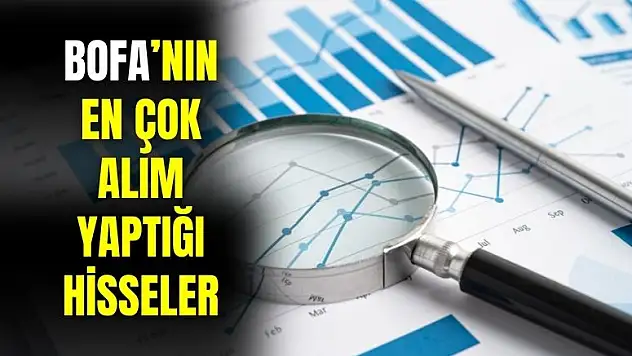 BofA'nın en çok alım yaptığı hisseler belli oldu