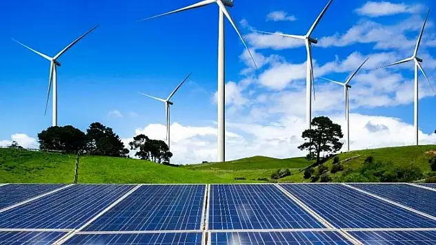 Borsada tek kuruş borcu olmayan o şirket halka arz oluyor