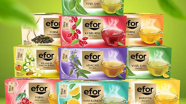 Efor Çay halka arz oluyor! Efor Çay 1 lot kaç TL, kaç lot verir, hangi bankalarda var?