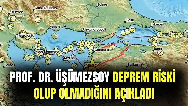 Marmara'da deprem riski var mı: Prof. Dr. Şener Üşümezsoy açıkladı