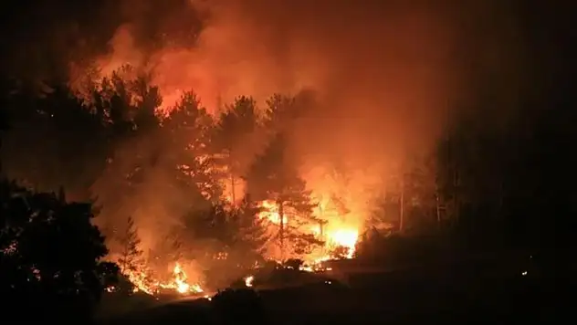 Muğla Bodrum'da yangın devam ediyor! Yangına TSK helikopterleri destek veriyor