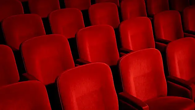 Sinema festivali hangi illerde?