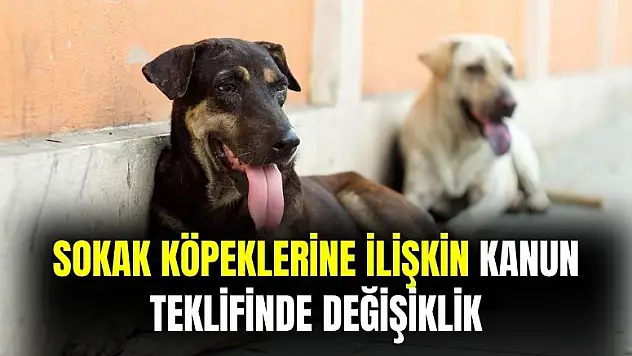Sokak köpeklerine dair kanun teklifinde değişiklik