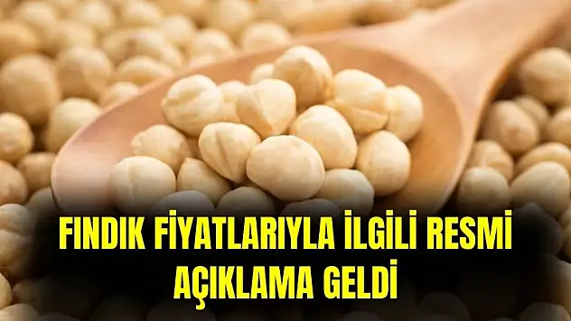 TMO'dan fındık fiyatları açıklaması geldi