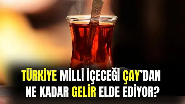 Türkiye çay ihracatından tam olarak ne kadar gelir elde ediyor belli oldu