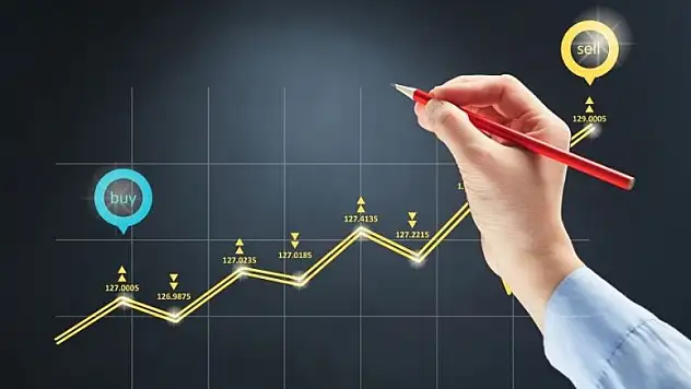 Yatırımcılar bu hafta en çok hangi araçtan kazandı?