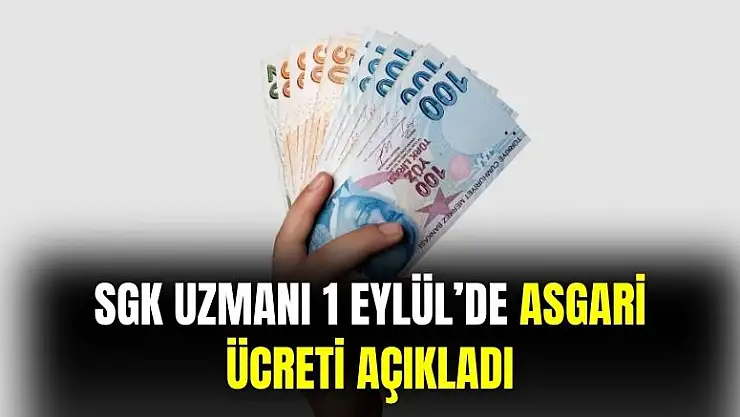 1 Eylül'de geçerli olabilir: SGK uzmanı yeni asgari ücreti açıkladı