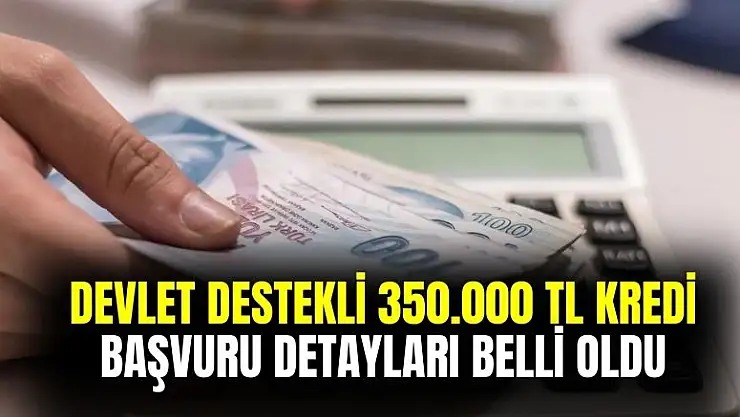 12 ay geri ödemesiz devlet destekli kredi: 350 bin TL'lik kredinin başvuru detayları