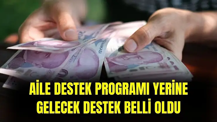 Aile Destek programı yerine gelecek destek ödemesi belli oldu