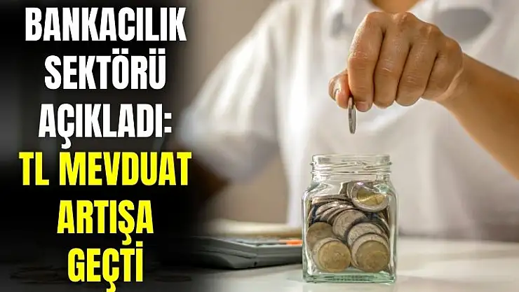 Bankacılık sektöründe haberler pozitif: TL cinsi mevduat artışta