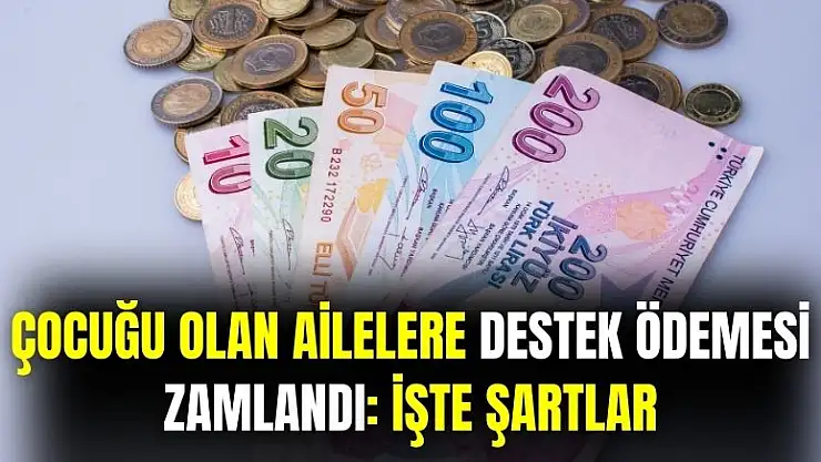 Çocuğu olan ailelere bakanlık 9 bin 300 TL yatıracak: işte şartlar