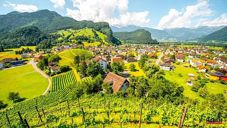 Devlet köye dönüş kredisini açıkladı! Dev destek sağlanacak