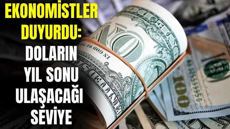 Ekonomistler duyurdu: yıl sonu doların ulaşacağı seviye
