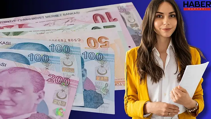 Memur ve Emeklinin Zam Farkı Ne Kadar Olacak? İşte Tahmini Maaşlar!