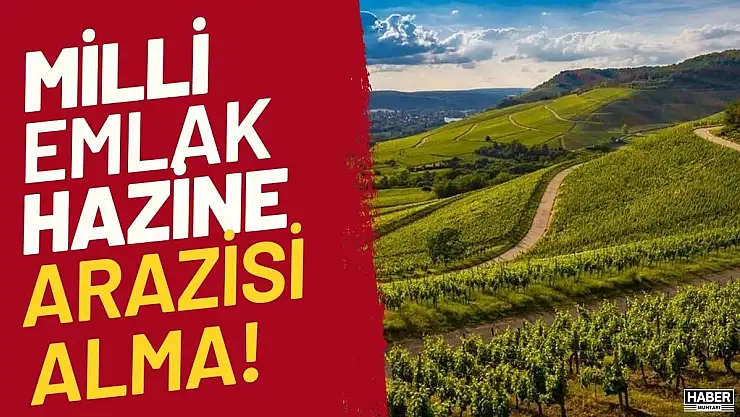 Milli Emlak'tan hazine arazisi nasıl alınır?