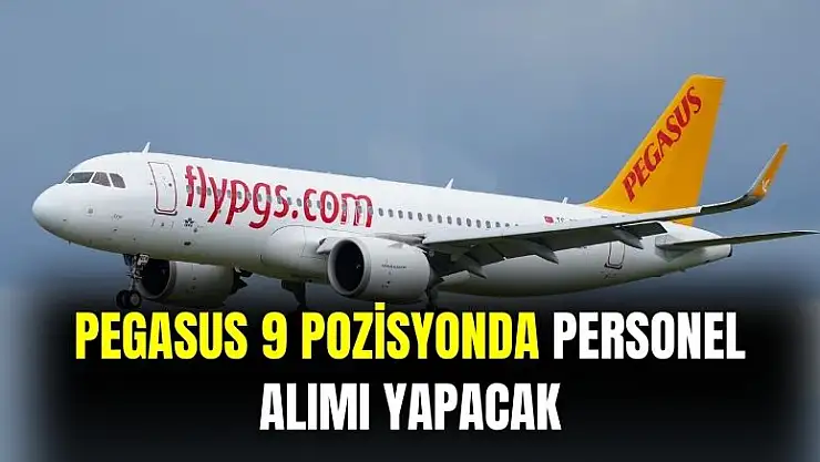 Pegasus 9 pozisyonunda personel alımı yapacak
