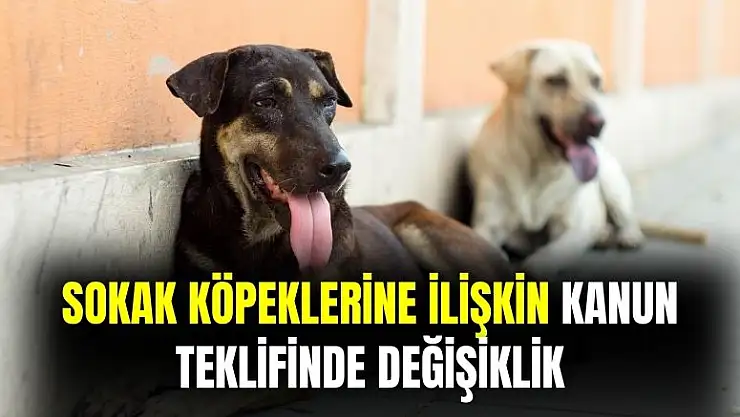 Sokak köpeklerine dair kanun teklifinde değişiklik