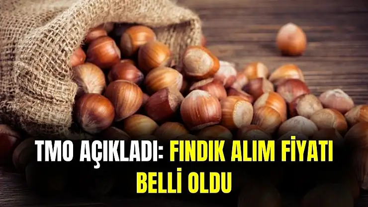 TMO açıkladı! Fındık alım fiyatı belirlendi