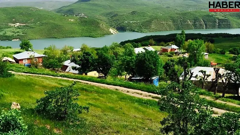 Bingöl'deki Ekinli Köyü sınırları 1. Derece Arkeolojik Sit Alanı ilan edildi