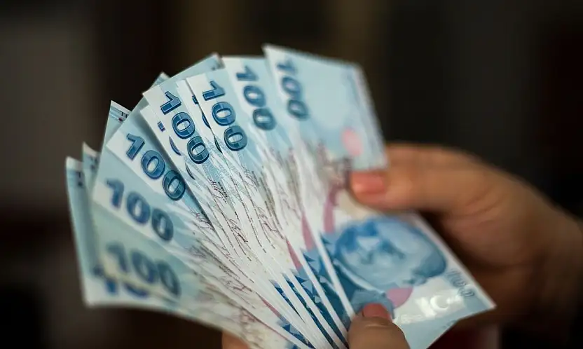 Vatandaşlık maaşı mı gelecek?